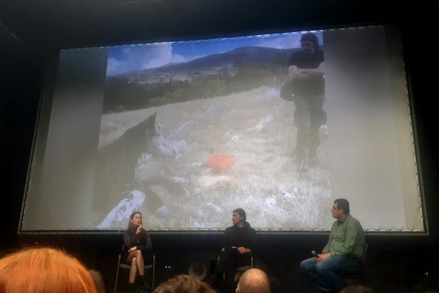Dokumentarni film „Livanjski divlji konji – između slobode i nebrige“
